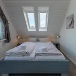Kapitaensdeck 534 *